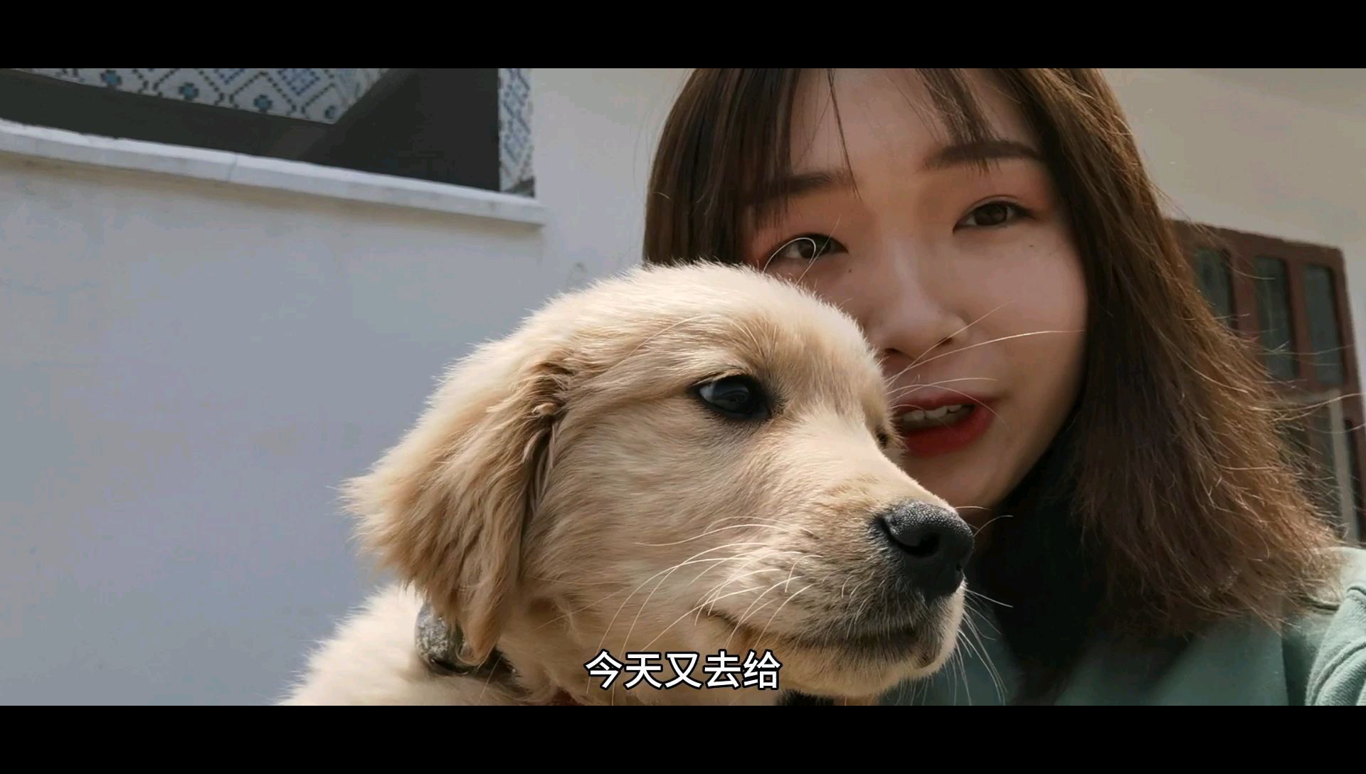 带三个月大的小金毛去打疫苗,特别乖巧,一点也不闹